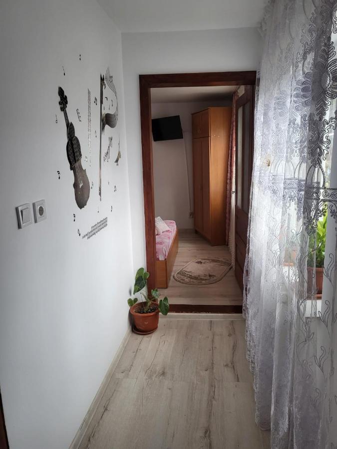 Pensiunea Lacramioara Vatra Dornei Exterior foto